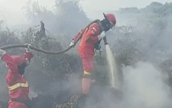 Karhutla Muncul di Pekaitan, Manggala Agni Siagakan Tambahan Personel ke Rohil
