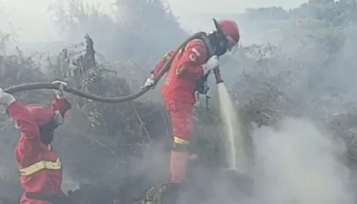 Karhutla Muncul di Pekaitan, Manggala Agni Siagakan Tambahan Personel ke Rohil