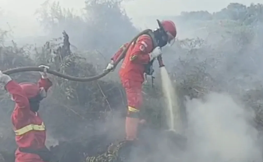 Karhutla Muncul di Pekaitan, Manggala Agni Siagakan Tambahan Personel ke Rohil