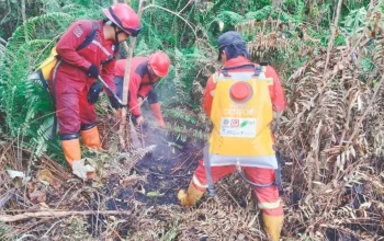 Karhutla Kepung Rohil dan Bengkalis, Satgas Tambah Personel dan Water Bombing