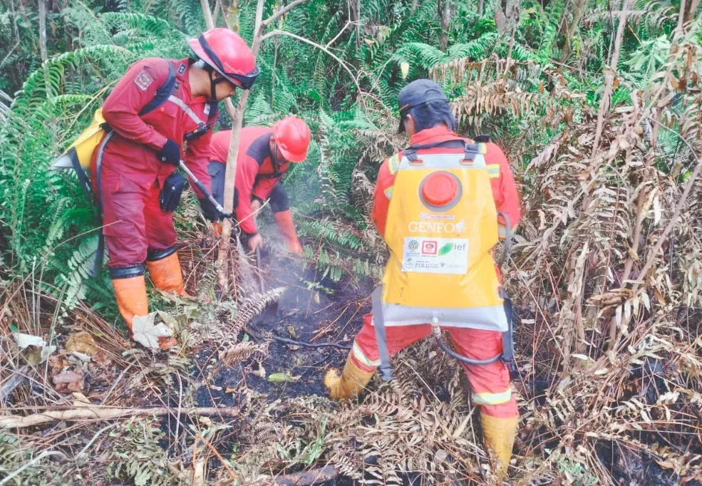 Karhutla Kepung Rohil dan Bengkalis, Satgas Tambah Personel dan Water Bombing