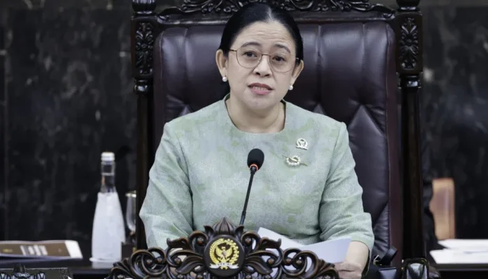 Puan Maharani Desak Pemerintah Perkuat Mitigasi Karhutla Riau Hadapi Ancaman El Nino