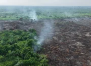 67 Kampung Rawan Karhutla di Siak Jadi Fokus Pengawasan