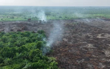 67 Kampung Rawan Karhutla di Siak Jadi Fokus Pengawasan