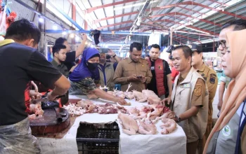 Harga Telur dan Ayam Turun di Pekanbaru, Bawang Putih Justru Melonjak