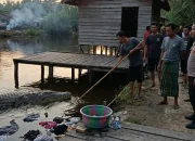 Cuci Pakaian di Tepi Sungai, Wanita di Siak Tewas Diterkam Buaya