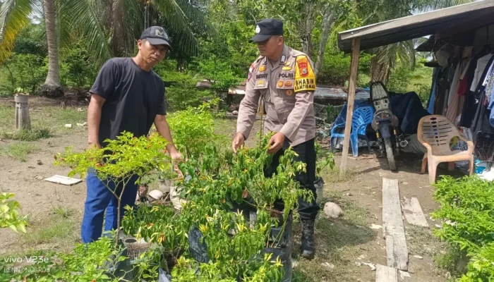 Melalui Pekarangan Pangan Bergizi, Bhabinkamtibmas Mekar Baru Dorong Warga Lebih Produktif