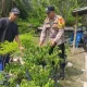 Melalui Pekarangan Pangan Bergizi, Bhabinkamtibmas Mekar Baru Dorong Warga Lebih Produktif