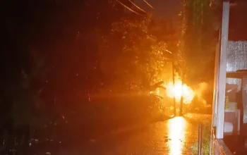 Pohon Tumbang Sebabkan Listrik Padam di Pandau Kencana Asri