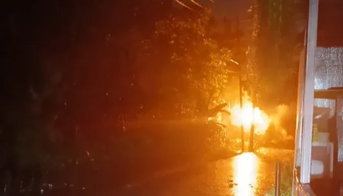 Pohon Durian Tumbang Timpa Jaringan Listrik, Perumahan Pandau Kencana Asri Padam Total