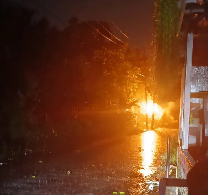 Pohon Tumbang Sebabkan Listrik Padam di Pandau Kencana Asri