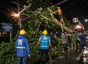 Pohon Durian Tumbang Sebabkan Listrik Padam di Pandau Jaya
