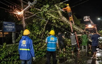 Pohon Durian Tumbang Sebabkan Listrik Padam di Pandau Jaya