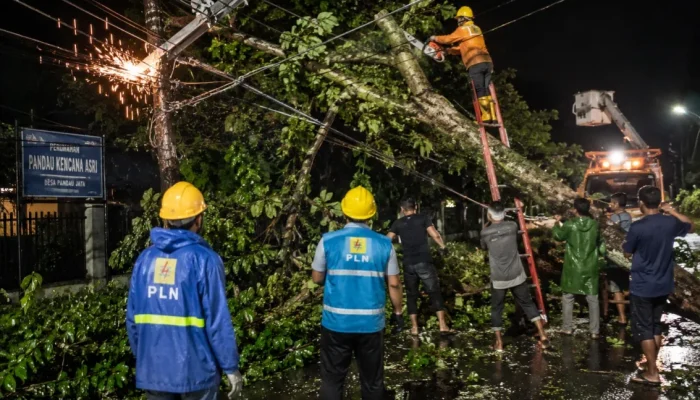 Pohon Durian Tumbang Timpa Jaringan Listrik, PLN dan Warga Bergerak Cepat Lakukan Evakuasi