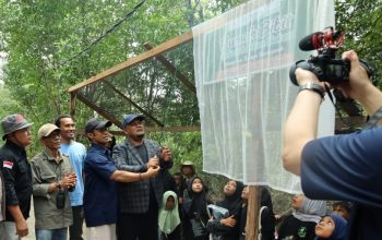 Sekolah Alam Bakau Siak Cetak Generasi Penjaga Mangrove