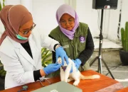 Rabies Riau, Vaksinasi Rabies, SF Hariyanto, Pemprov Riau, Kesehatan Hewan
