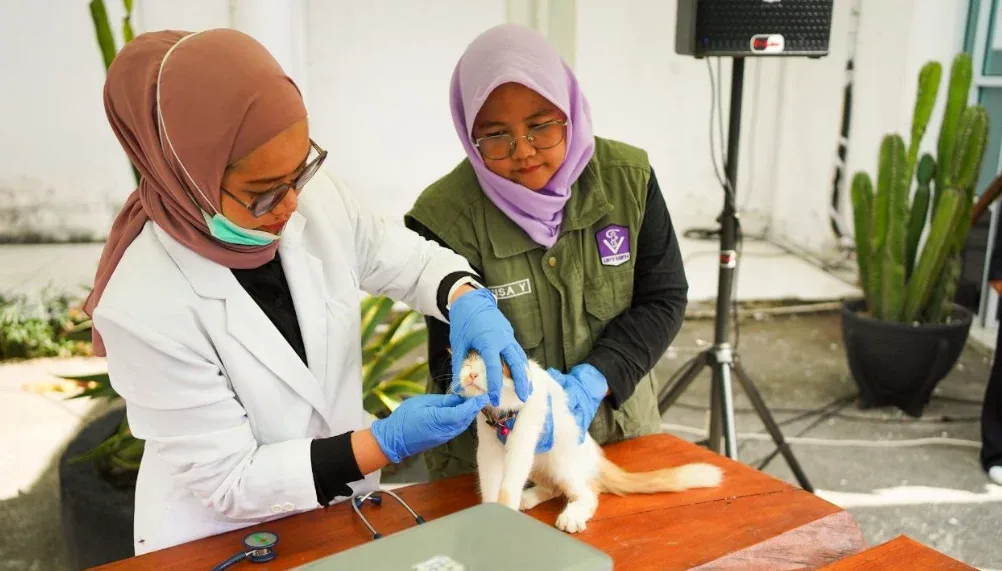 11 KabupatenKota di Riau Masih Tertular Rabies