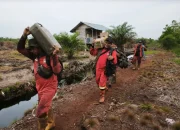Karhutla Air Hitam Pekanbaru Padam, 1 Hektare Lahan Terbakar