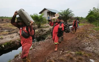 Karhutla di Air Hitam Pekanbaru Padam Total, Satu Hektare Lahan Terbakar