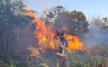 BPBD Pekanbaru Siagakan 90 Personel Hadapi Kebakaran Lahan