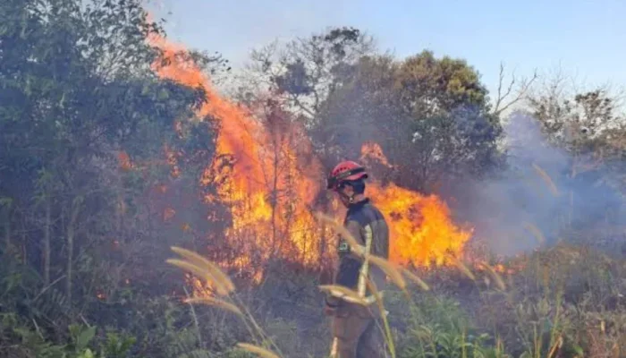 Kebakaran Lahan Meluas, BPBD Pekanbaru Siagakan 90 Personel hingga November