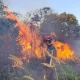 Kebakaran Lahan Meluas, BPBD Pekanbaru Siagakan 90 Personel hingga November
