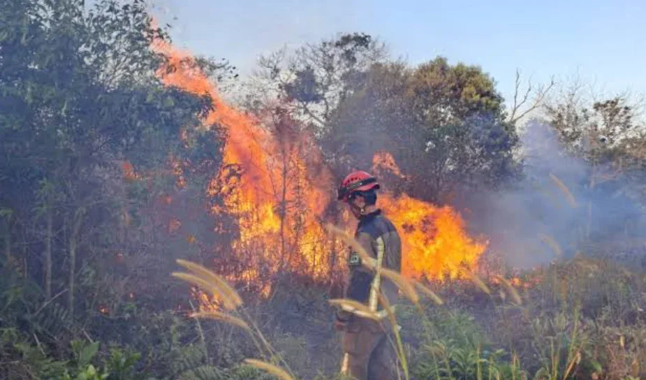 BPBD Pekanbaru Siagakan 90 Personel Hadapi Kebakaran Lahan