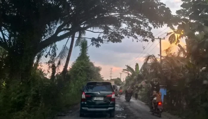 DPRD Riau Desak Pemprov Selamatkan Jalan Kuala Cinaku dari Kerusakan Akibat Truk Batu Bara