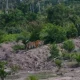 BBKSDA Riau Pasang Camera Trap dan Drone Usai Harimau Sumatera Masuk Permukiman di Inhil
