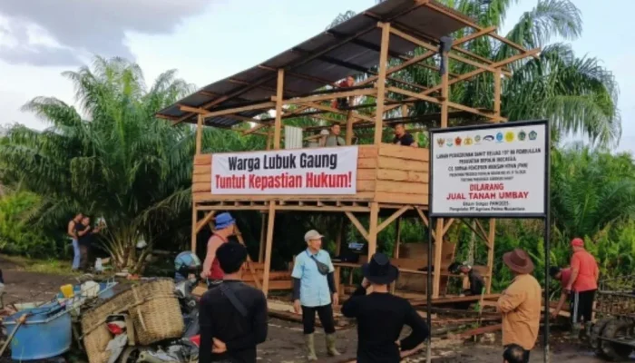 Warga Lubuk Gaung Dirikan Pondok di Lahan Sitaan Satgas PKH, Tuntut Kepastian Hukum