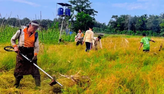 Polsek Bantan Buka Lahan 1 Hektare, Gandeng Petani Milenial Perkuat Ketahanan Pangan