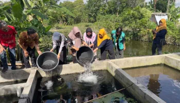 Kolaborasi Pemerintah dan Akademisi Perkuat Gemari Sleman Cegah Stunting