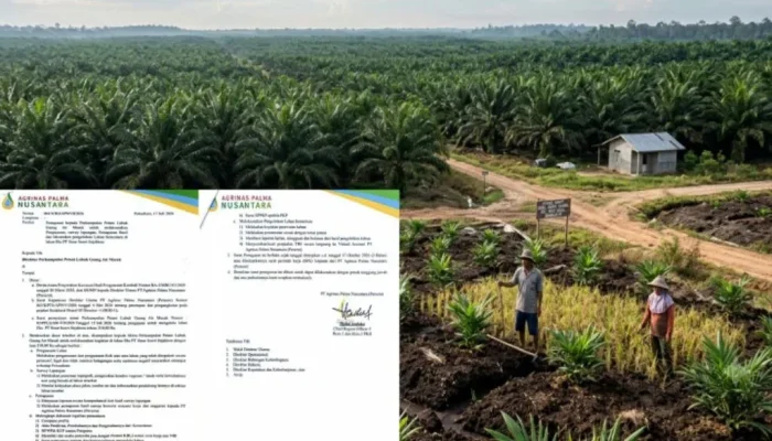 Agrinas Palma Nusantara Percayakan Lahan Eks PT SSS kepada Tani Lubuk Gaung Air Masuk