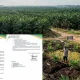 Agrinas Palma Nusantara Percayakan Lahan Eks PT SSS kepada Tani Lubuk Gaung Air Masuk