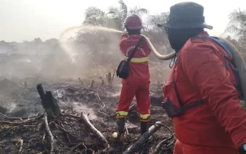 Karhutla Riau Melonjak 17 Kali Lipat, Bengkalis Sumbang Lebih Separuh Luas Kebakaran