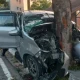 Kecelakaan Tunggal di Sudirman Pekanbaru, Toyota Calya Hantam Pohon, Sopir Terluka