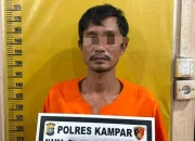 Kekerasan Seksual Anak di Kampar, Ayah Kandung Ditangkap