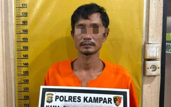 Kekerasan Seksual Anak di Kampar, Ayah Kandung Ditangkap