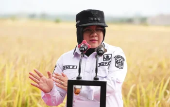 Panen Perdana Zakat Produktif di Siak
