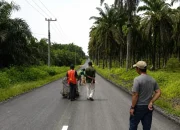 Pemkab Siak Tangani 152,