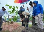 Penghijauan Siak, Afni Ajak Warga Rawat 5.050 Pohon