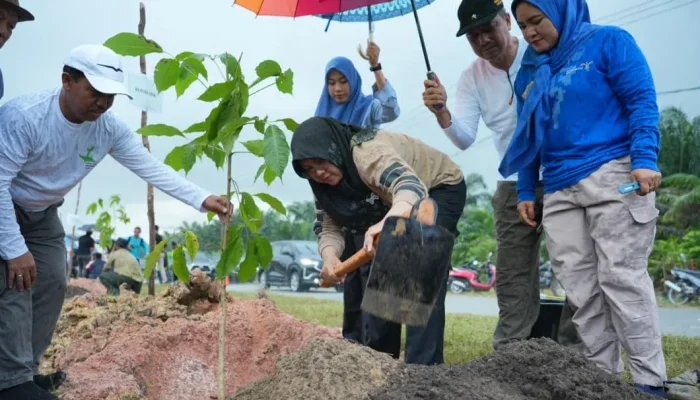 Penghijauan Siak Dimulai, Afni Ajak Warga Rawat 5.050 Pohon hingga Tumbuh