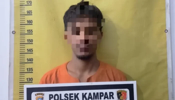 Residivis Curat di Kampar Ditangkap, Polisi Ungkap Enam Aksi Pencurian