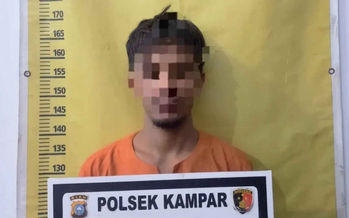 Residivis Curat di Kampar Ditangkap, Polisi Ungkap Enam Aksi Pencurian