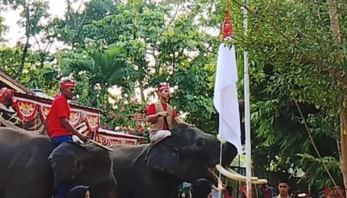 Bukan Manusia, Budi dan Valenti Jadi Pengerek Merah Putih di Kasang Kulim Zoo