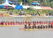 H-15 Festival Pacu Jalur Nasional 2026, 59 Jalur Sudah Mendaftar