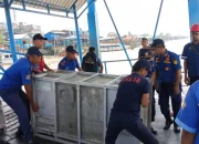Harimau Pulau Burung Dievakuasi, BBKSDA Riau Pasang Perangkap