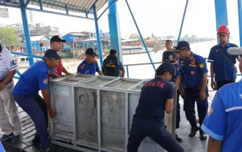 Harimau Pulau Burung Dievakuasi, BBKSDA Riau Pasang Perangkap