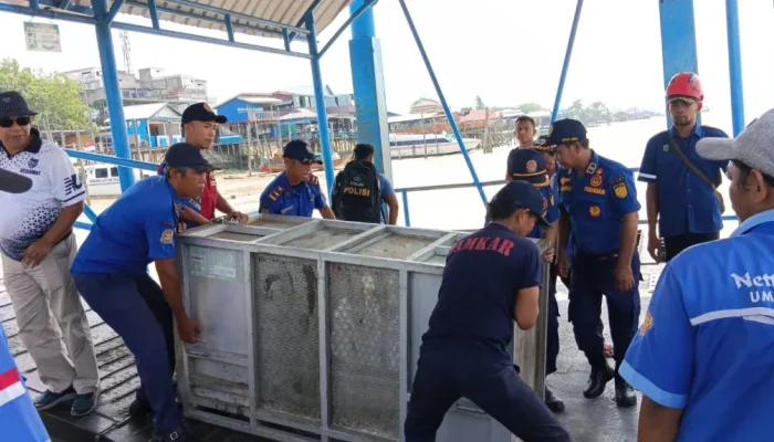 BBKSDA Riau Pasang Kandang Perangkap untuk Evakuasi Harimau di Pulau Burung
