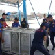 BBKSDA Riau Pasang Kandang Perangkap untuk Evakuasi Harimau di Pulau Burung